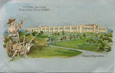 picture postcard olympic games 1904 st. louis